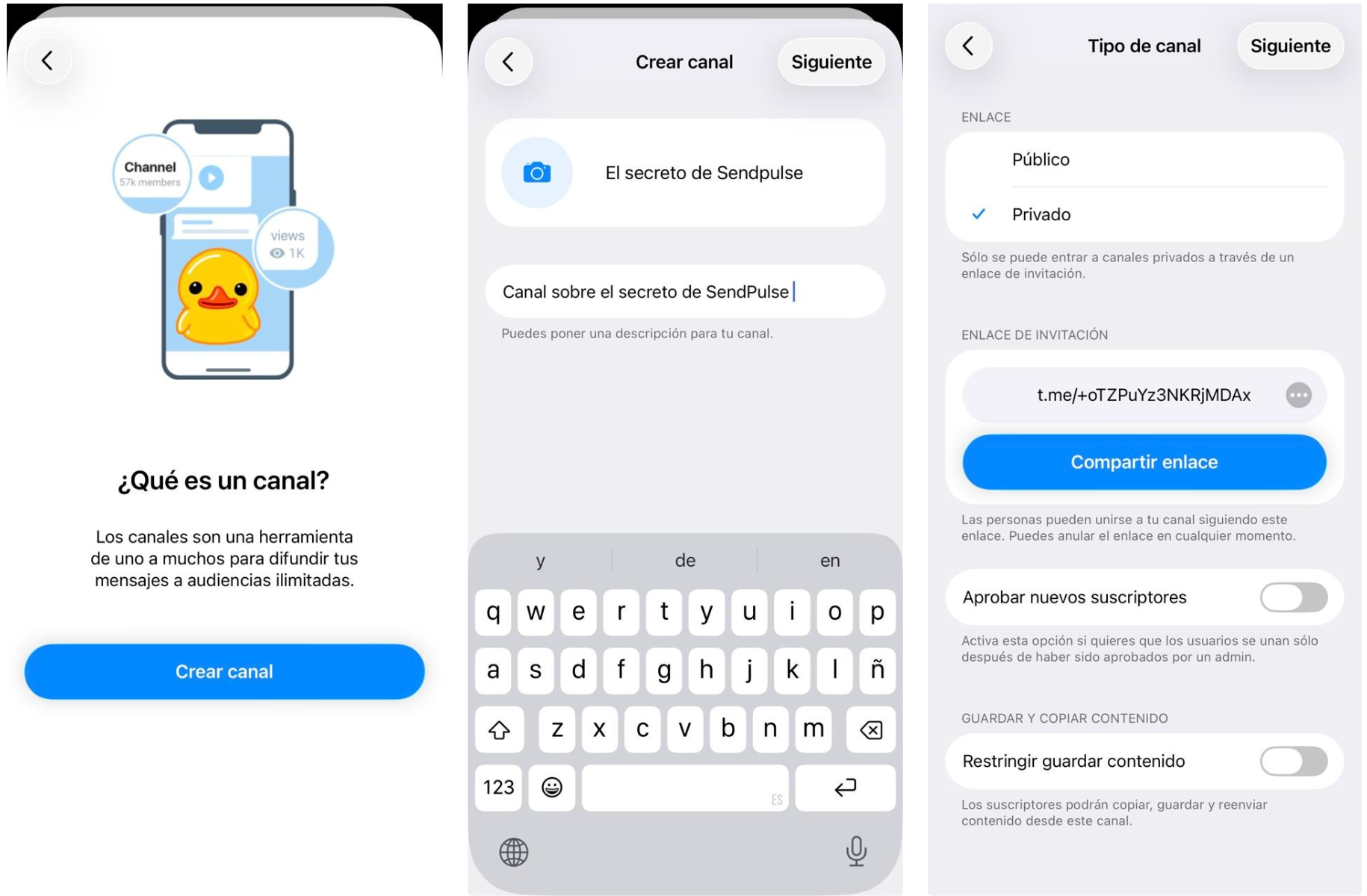 Selección del un nombre y tipo del canal de Telegram en iPhone