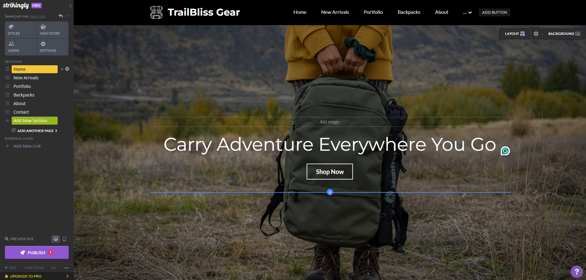 Strikingly store template 