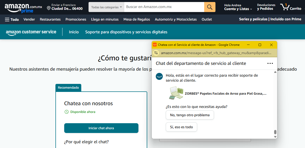 Amazon atienden las dudas de sus clientes referentes a sus pedidos