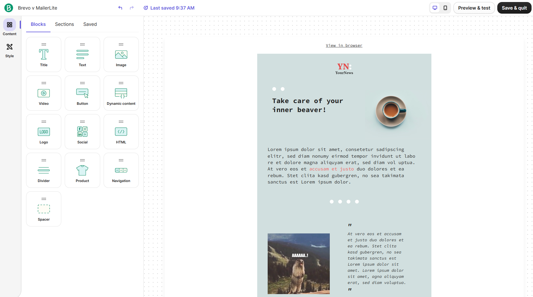 Brevo drag-and-drop email editor with a Blocks panel (Text, Image, Button, Product, Dynamic content) and a newsletter draft