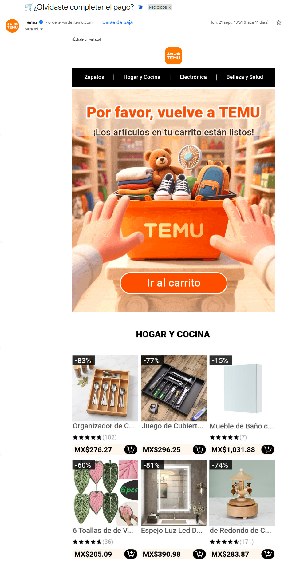Emailmarketing ejeplo de carrito abandonado de Temu