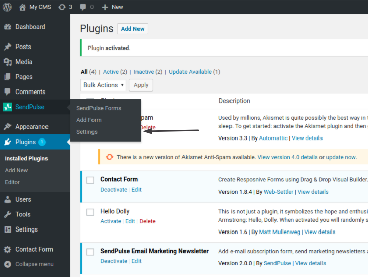 API kimliğini ve Gizli Anahtarı kopyalayın ve WordPress'e gidin