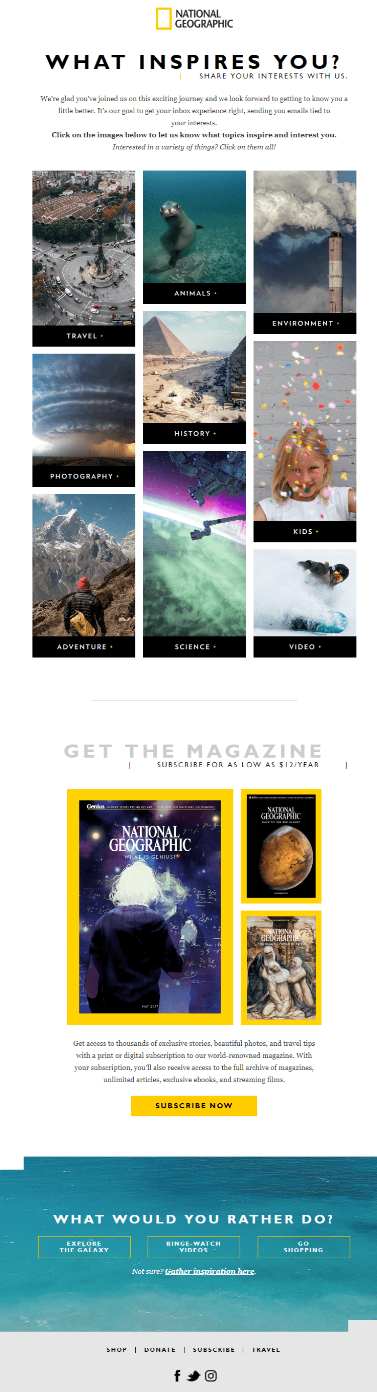 Segment email subscribers