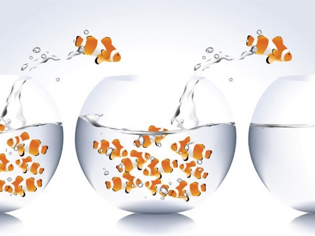 Коэффициент оттока клиентов