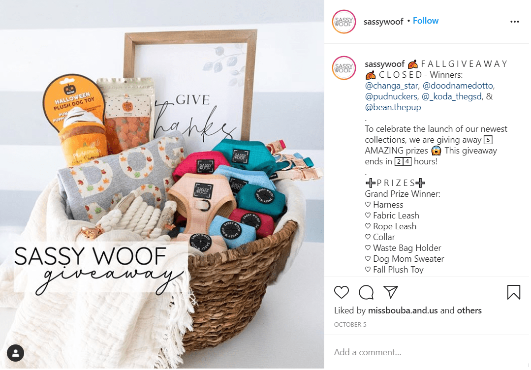 Run giveaways on Instagram