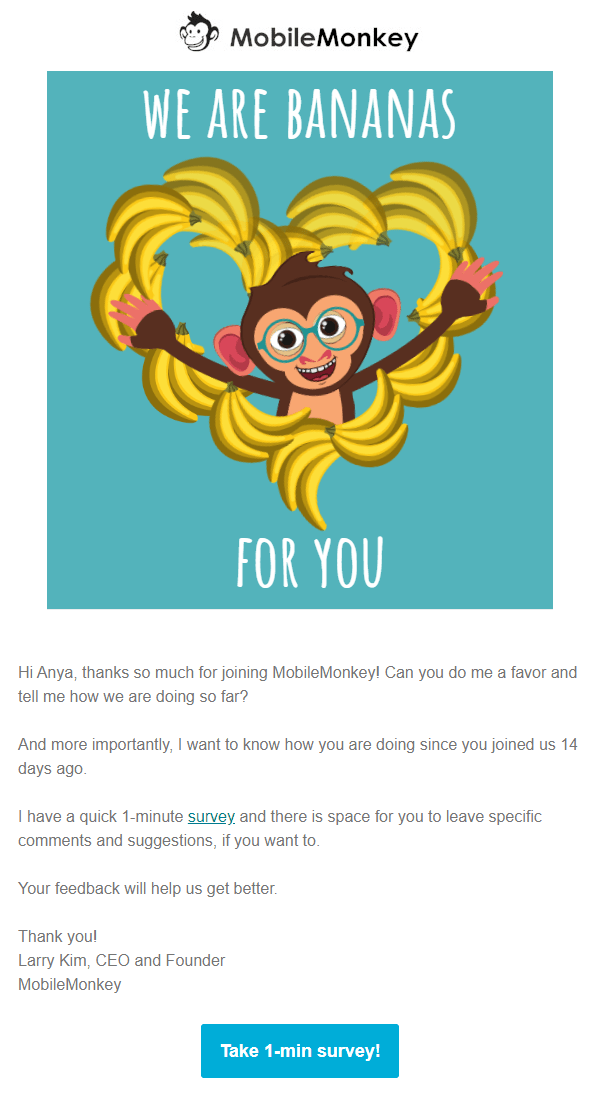 MobileMonkey survey email