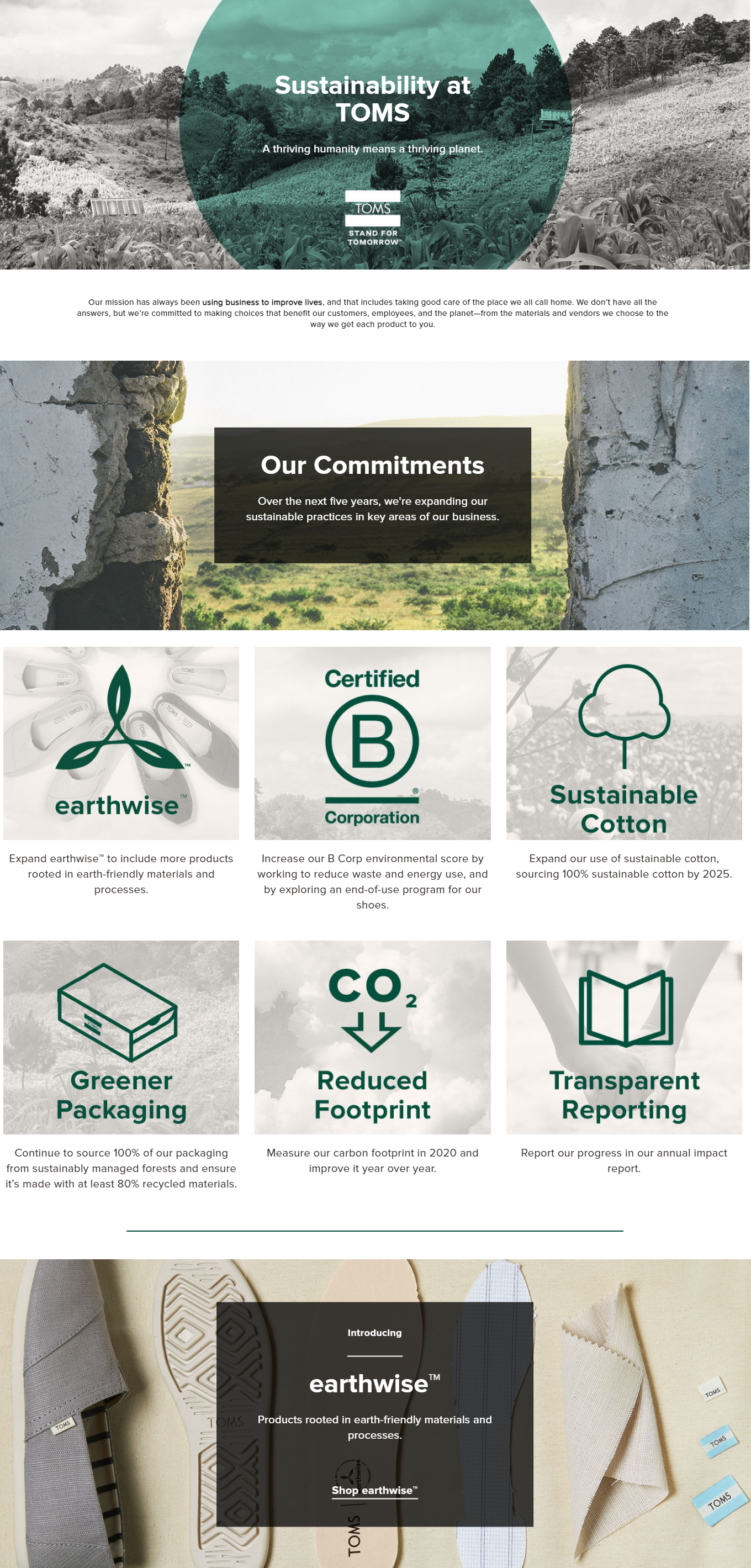 Green marketing Green marketing